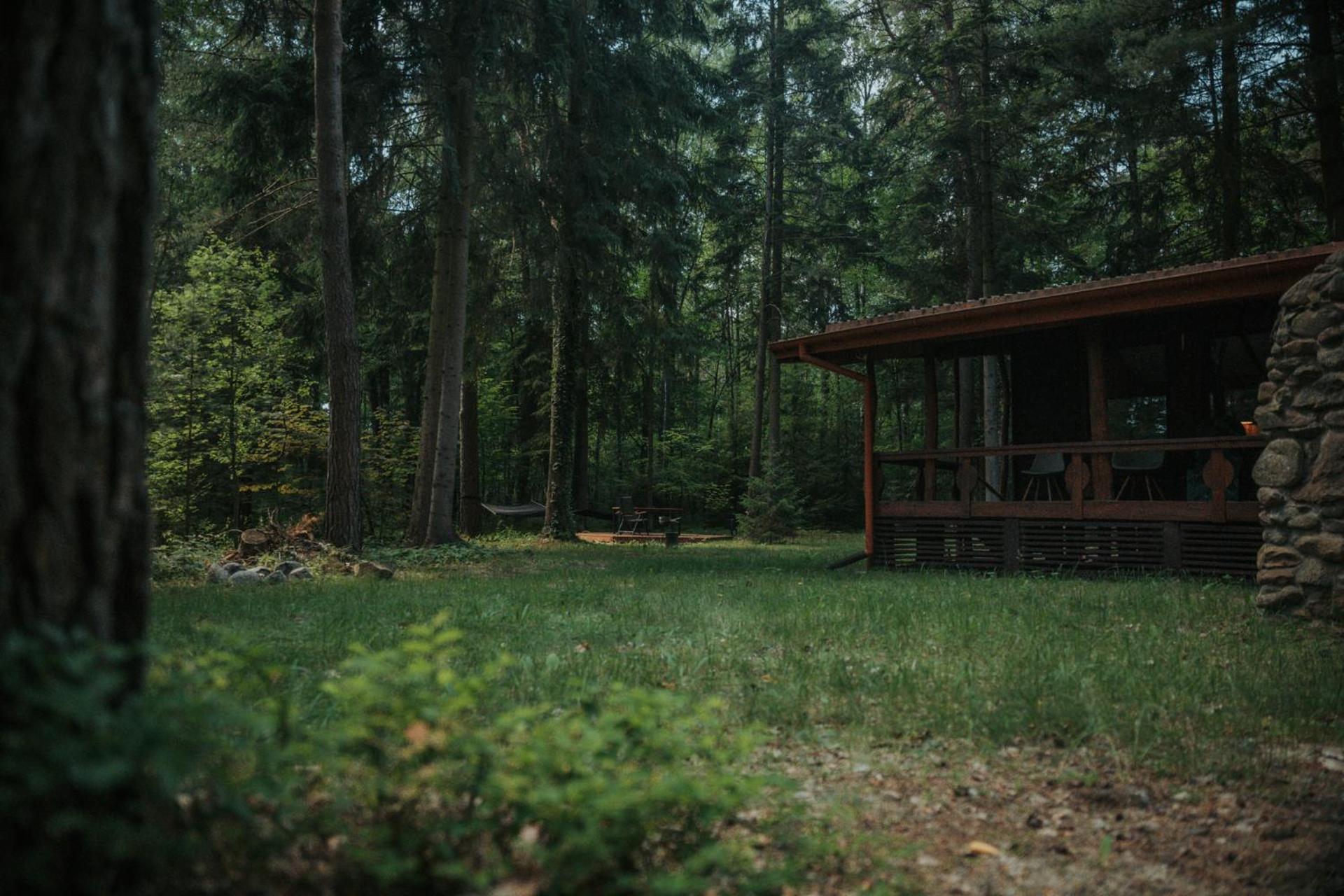 Wola Polska Forest Cabin - 50Min Od Warszawy מראה חיצוני תמונה