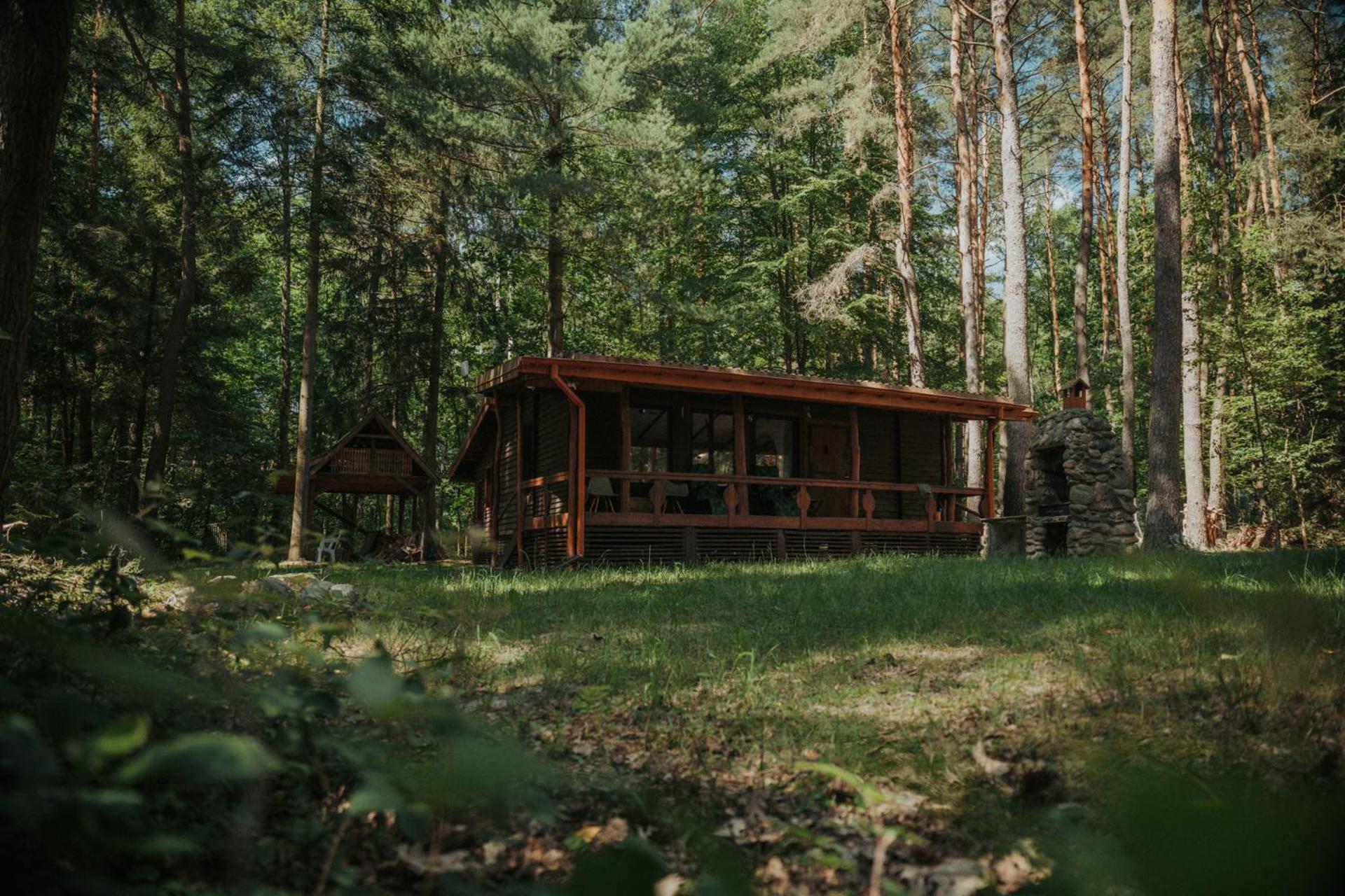 Wola Polska Forest Cabin - 50Min Od Warszawy מראה חיצוני תמונה
