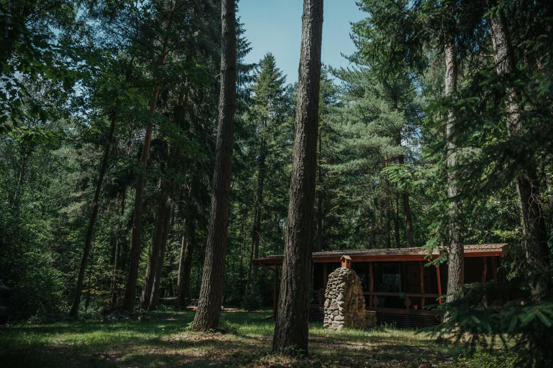 Wola Polska Forest Cabin - 50Min Od Warszawy מראה חיצוני תמונה
