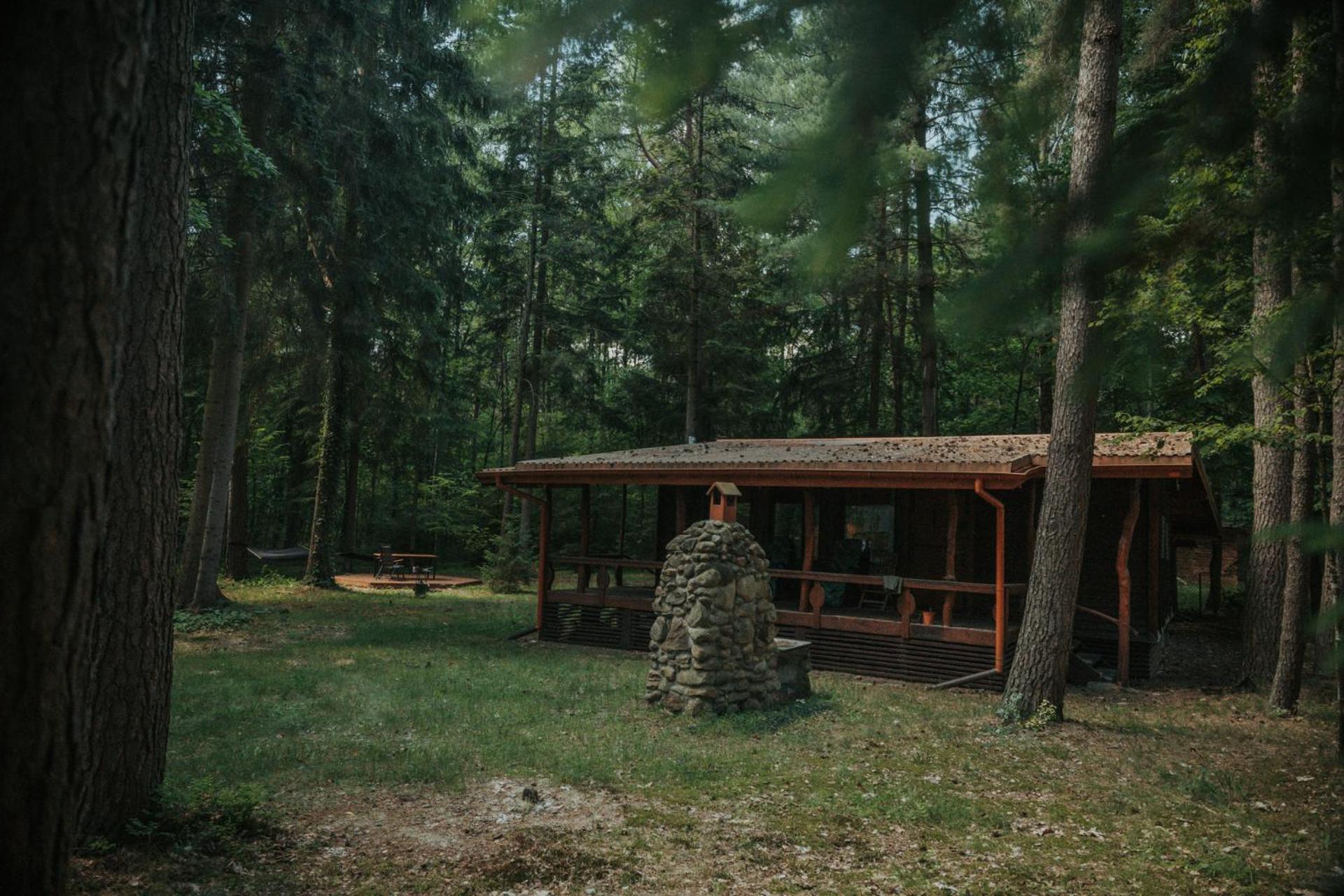 Wola Polska Forest Cabin - 50Min Od Warszawy מראה חיצוני תמונה
