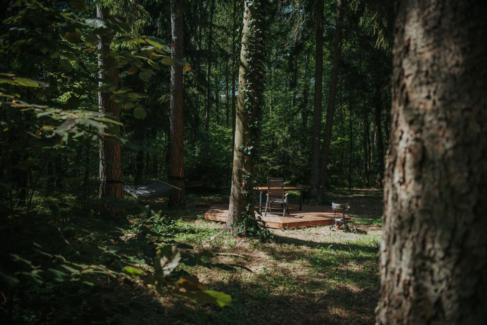 Wola Polska Forest Cabin - 50Min Od Warszawy מראה חיצוני תמונה