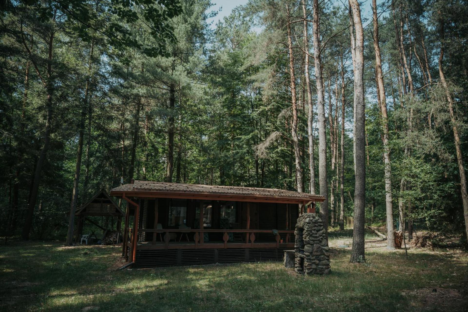 Wola Polska Forest Cabin - 50Min Od Warszawy מראה חיצוני תמונה