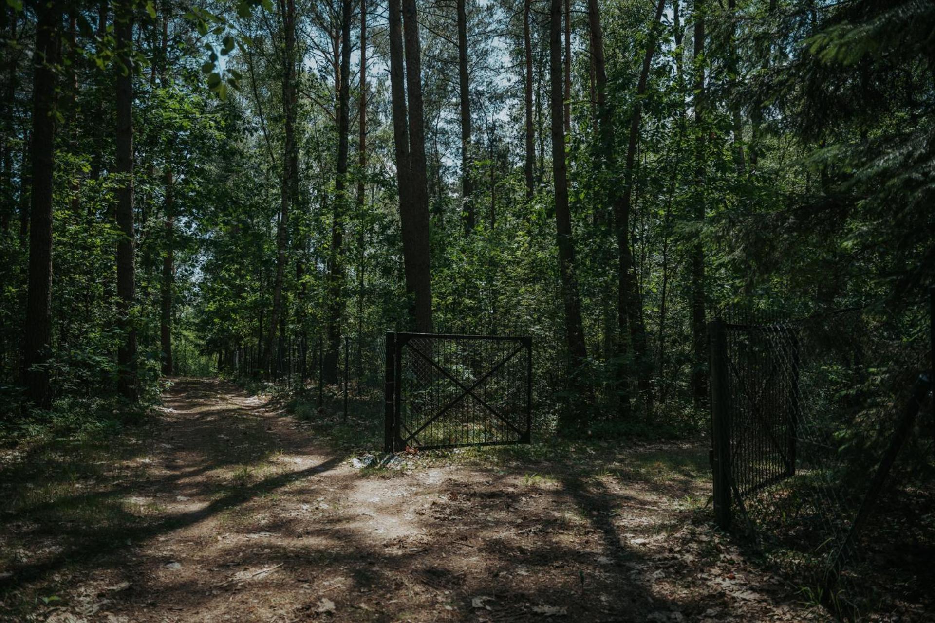Wola Polska Forest Cabin - 50Min Od Warszawy מראה חיצוני תמונה